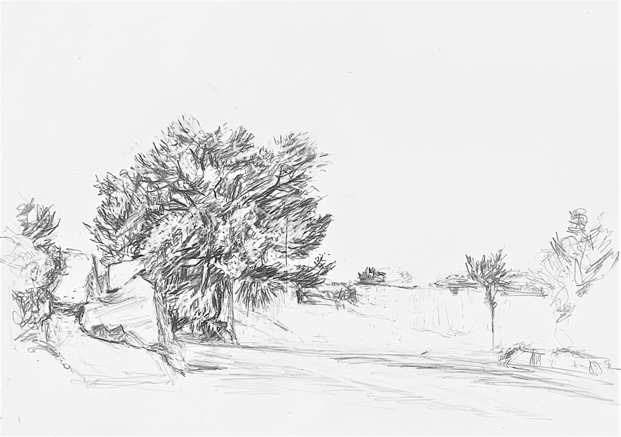 Cave di Cusa - Selinunte - Sicilia